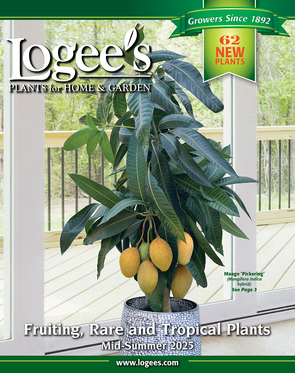 First Class Catalog Request