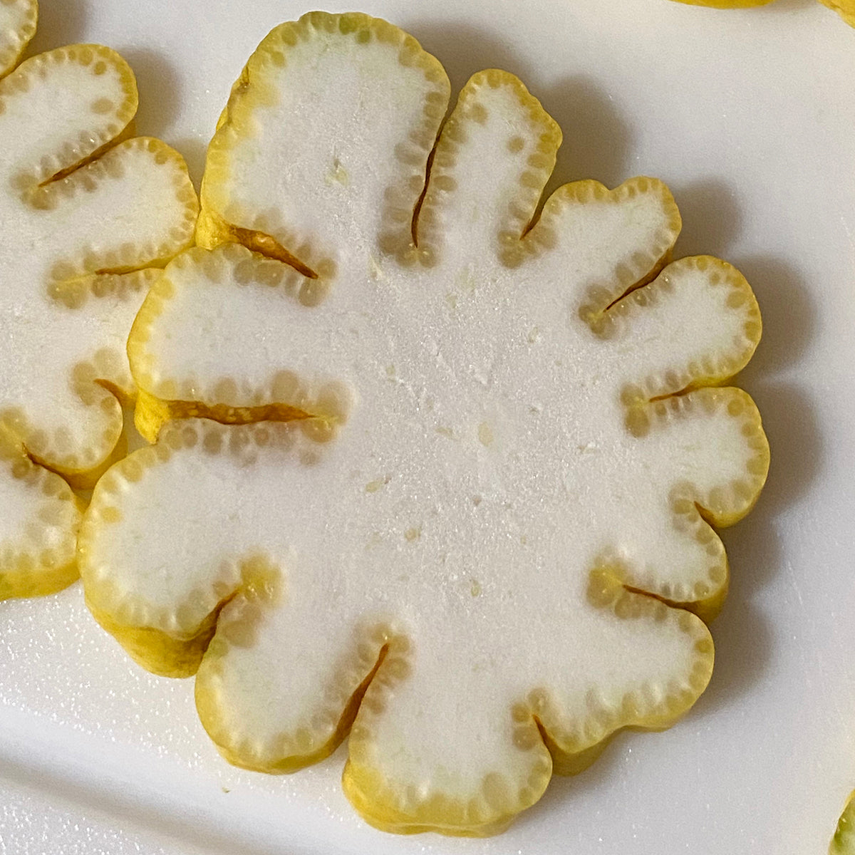 Buddhaās Hand Citron Tree (Citrus medica hybrid)