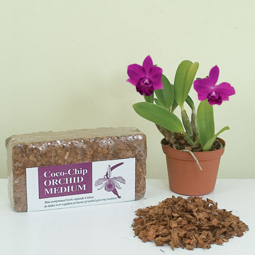 coco chips potting mix Coco Chip Brick For Sale