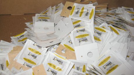 Using Beneficial Bugs for Pest Management