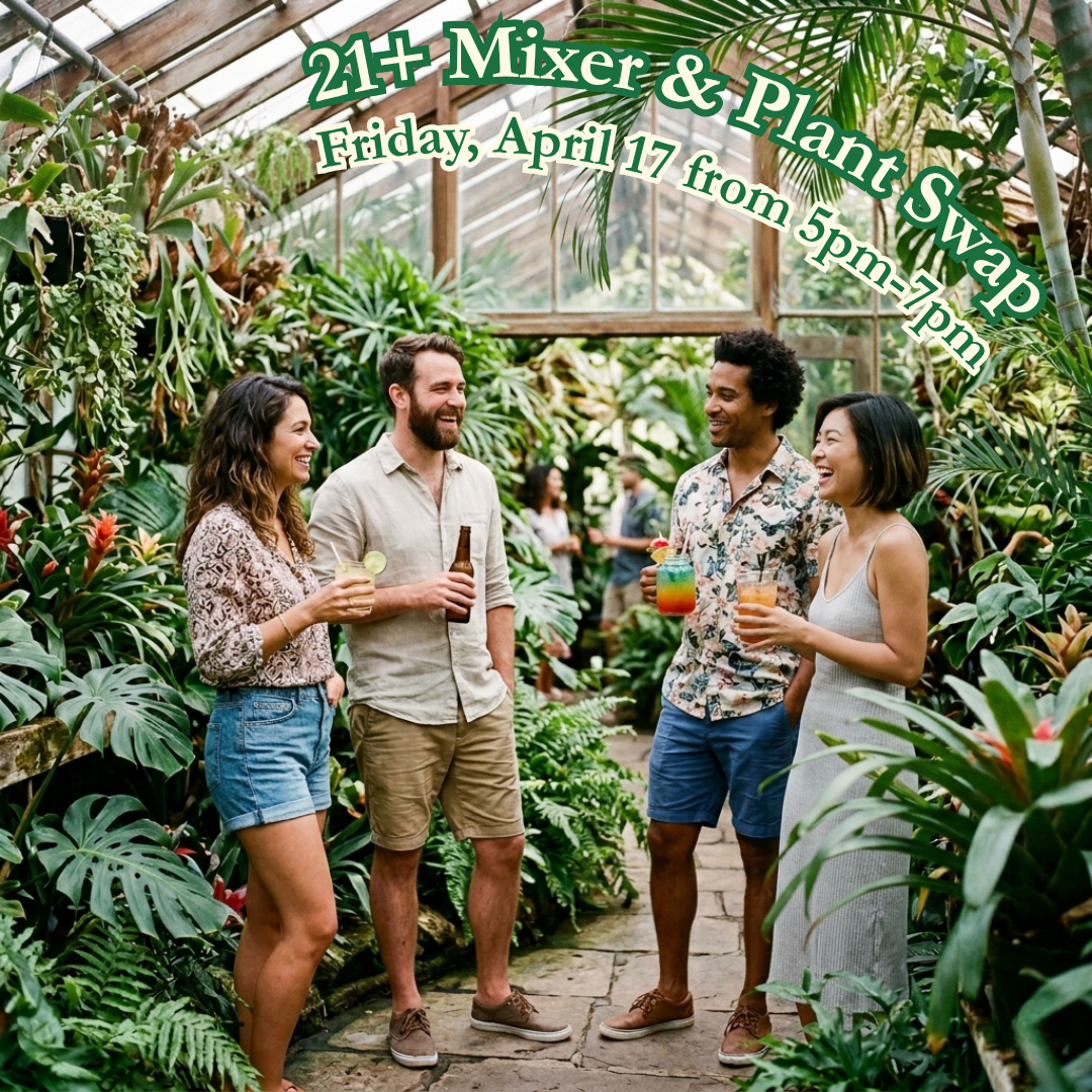 21+ Friends & Singles Mixer and Plant Swap