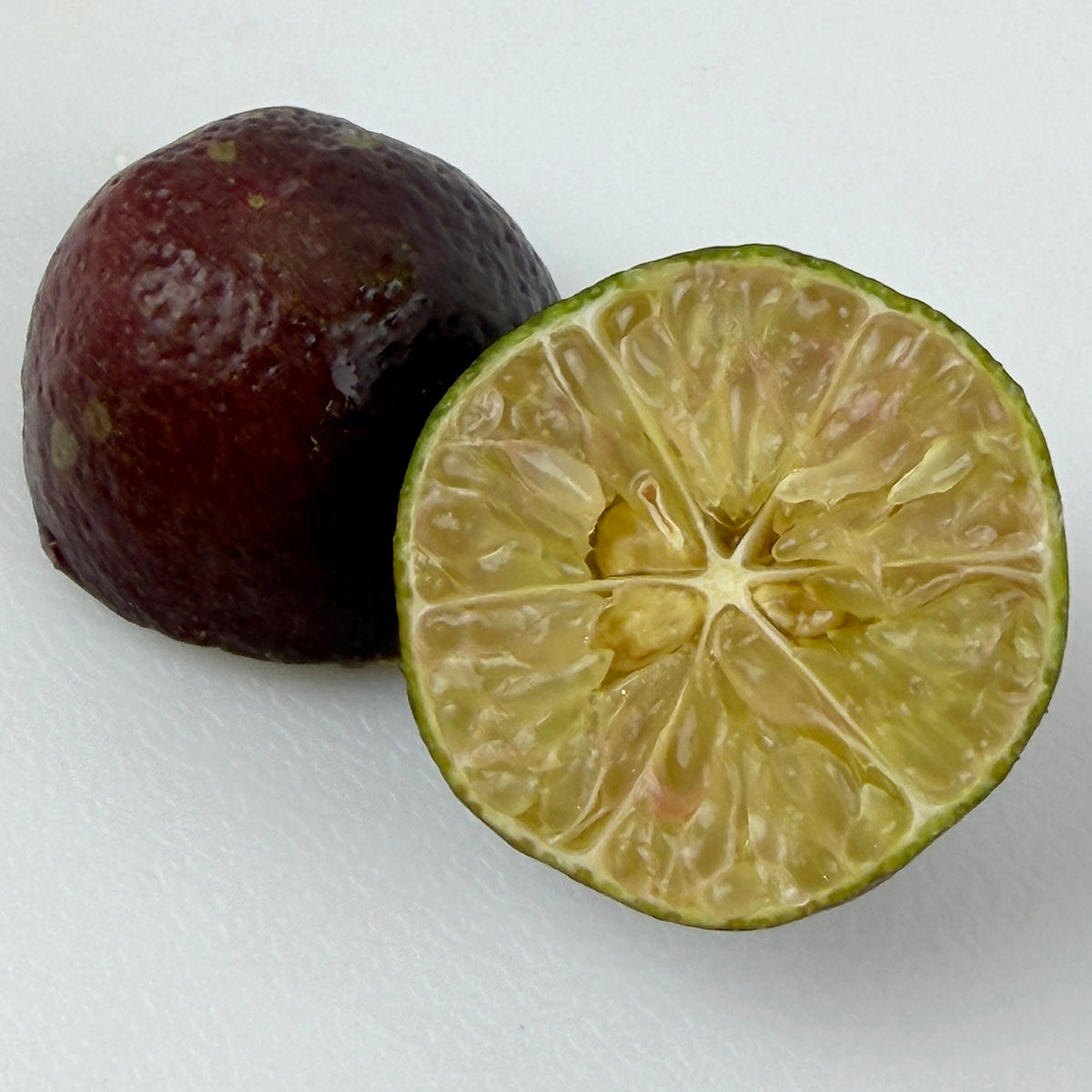 Australian Red Lime cut in half