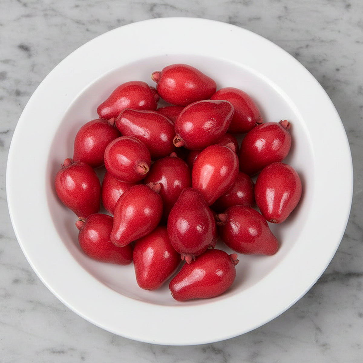 Australian Beach Cherry Tree (Eugenia reinwardtiana)