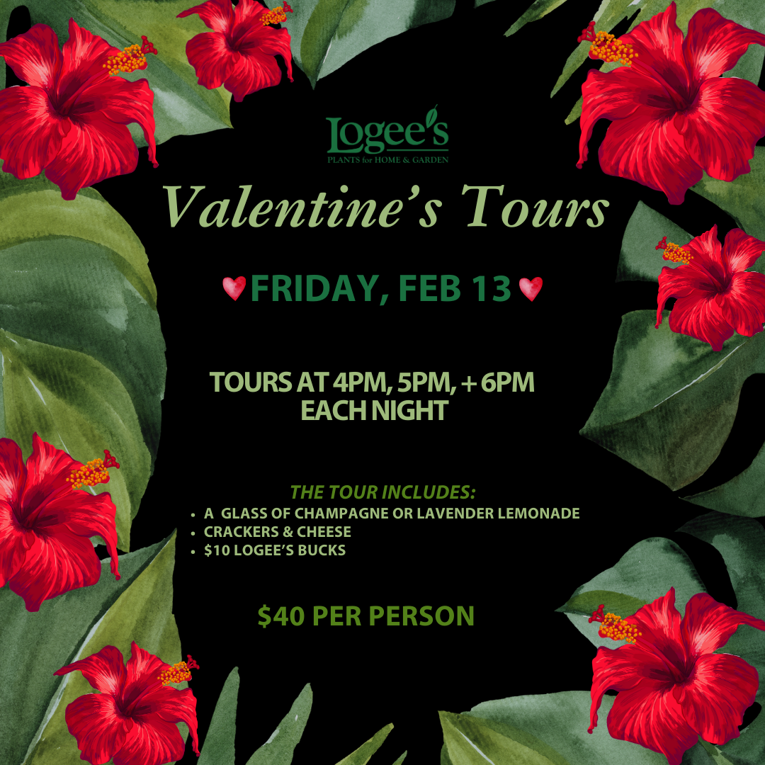 Valentine's Tour - Friday, February 13 @ 5PM