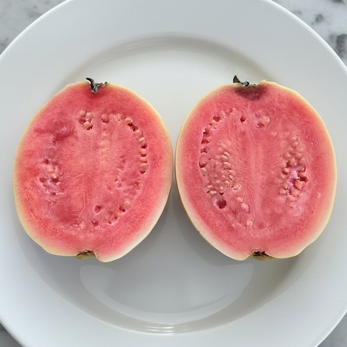 Guava Tree 'Ka Hua Kula' for Sale – Logee's Plants