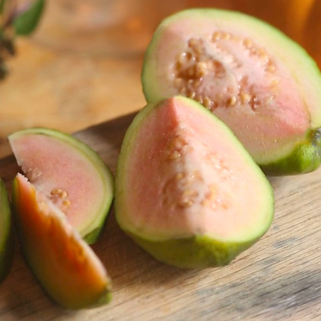 Guava Tree 'Tropical Pink' (Psidium guajava)
