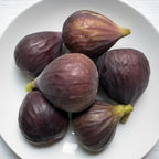 Hartford Hardy fig fruit