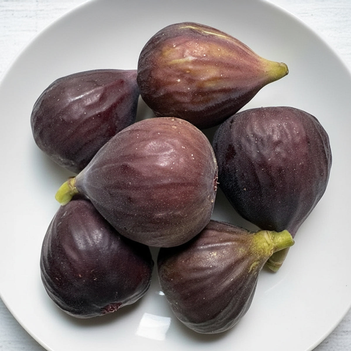 Hartford Hardy fig fruit