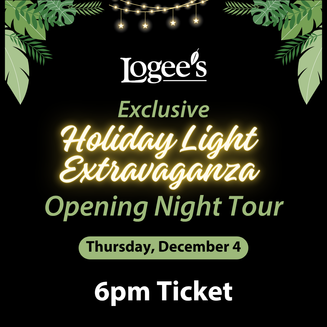 Holiday Light Extravaganza Opening Night Tour @ 6PM - Dec 4, 2025