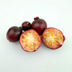 Strawberry Guava Tree (Psidium cattleyanum)