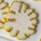 Buddha’s Hand Citron Tree (Citrus medica hybrid)