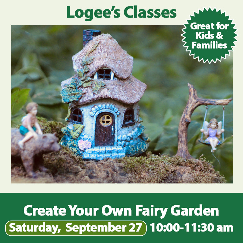 Create Your Own Fairy Garden