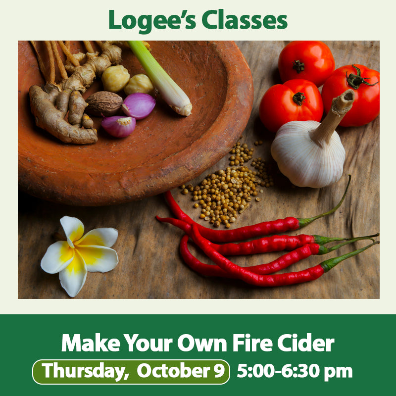 Make Your Own Fire Cider