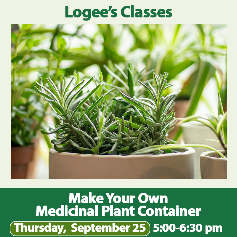 Make Your Own Medicinal Plant Container