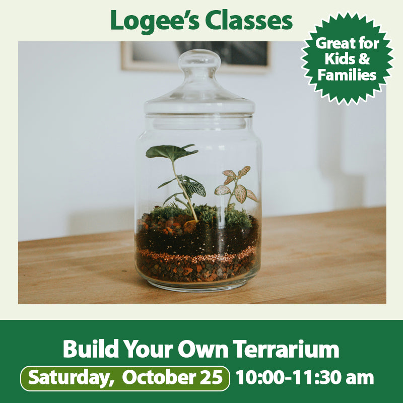 Build Your Own Terrarium