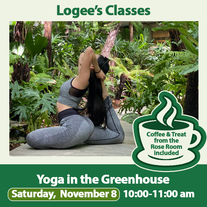 Yoga in the Greenhouse