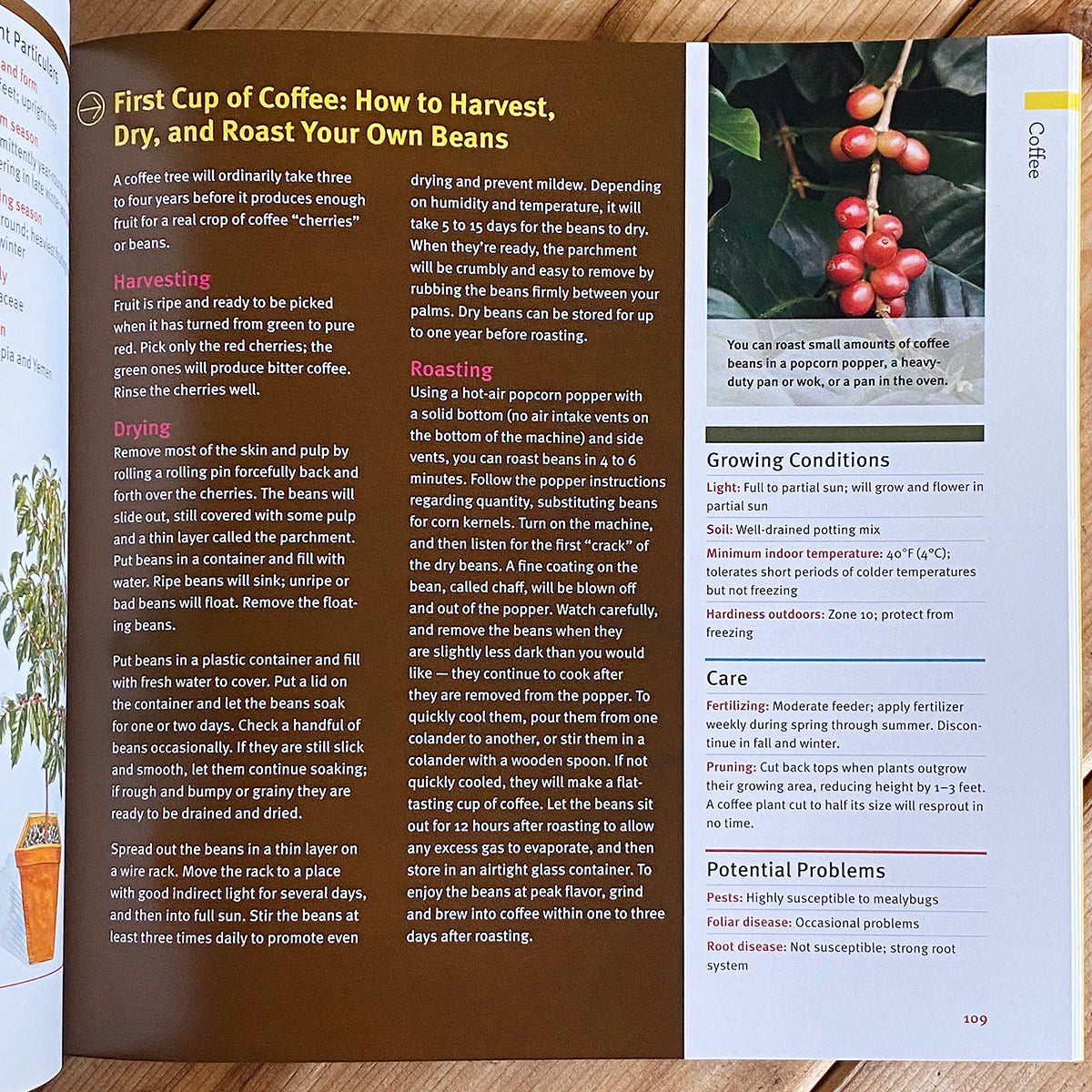 Edible Houseplants Book