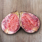 Fig Tree ‘Beer’s Black’ (Ficus carica hybrid)