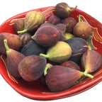 Fig Tree ‘Fignomenal’ PP (Ficus carica hybrid)