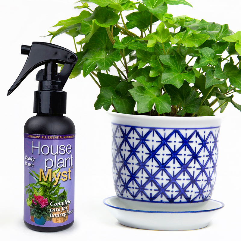 Houseplant Myst