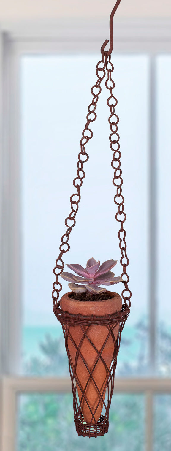 Hanging Cone Pot with Echeveria ‘Perle Von Nurnberg’
