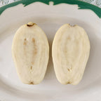 Egyptian Yellow Guava Plant (Psidium guajava hybrid)