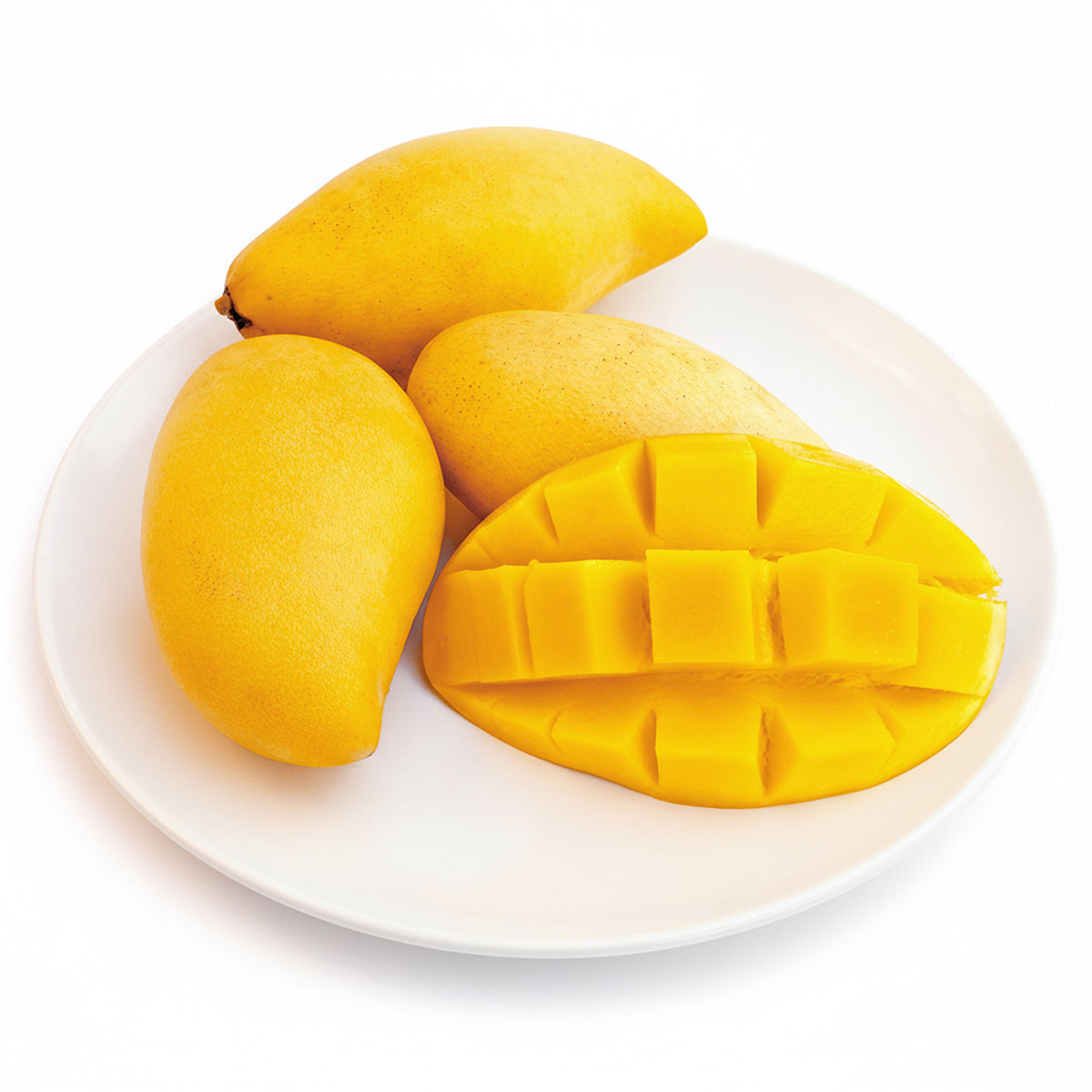 Logee's Mango Tree Nam Doc Mai