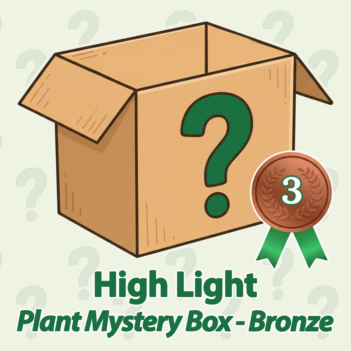 High Light Plant Mystery Box - Bronze - May