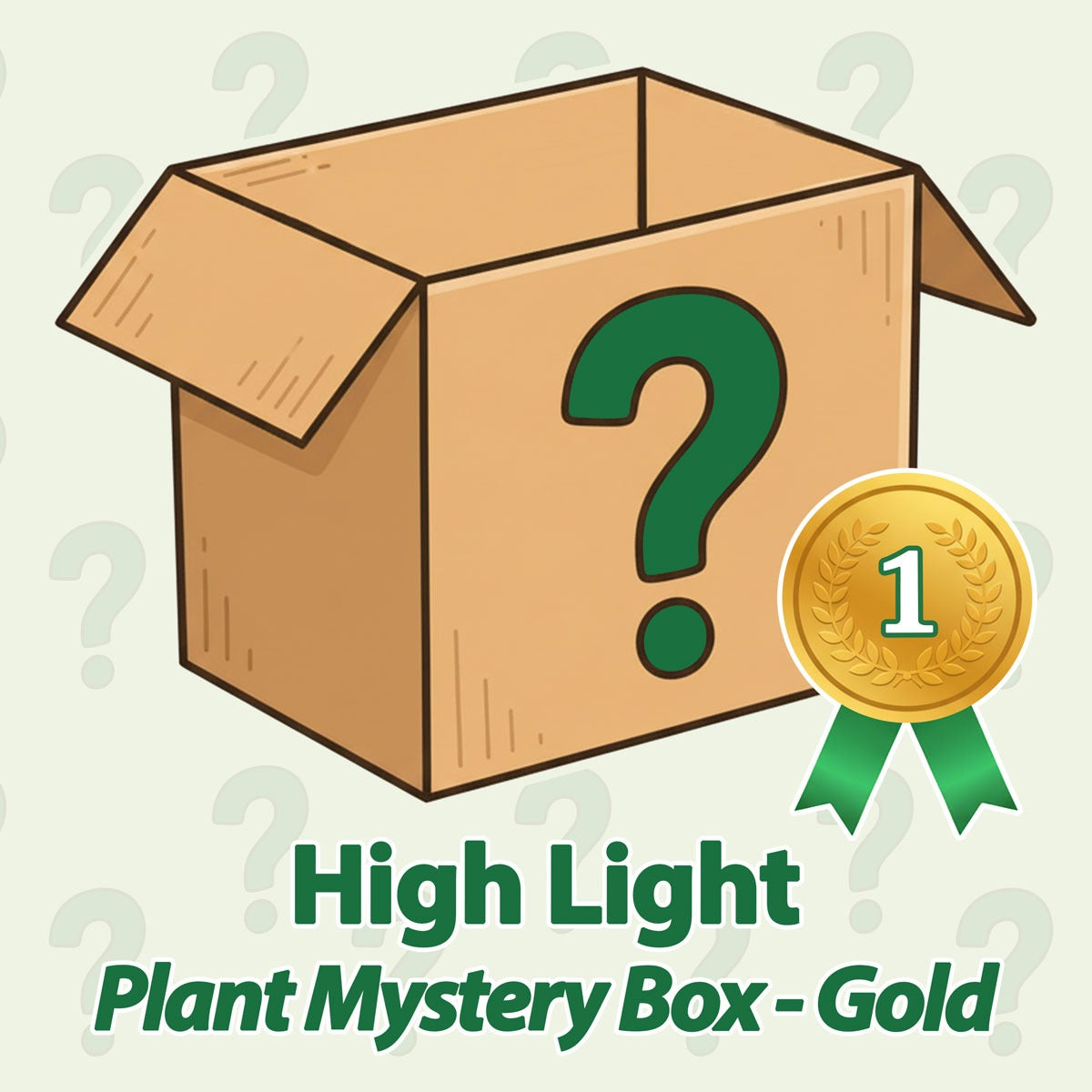 High Light Plant Mystery Box - Gold - May
