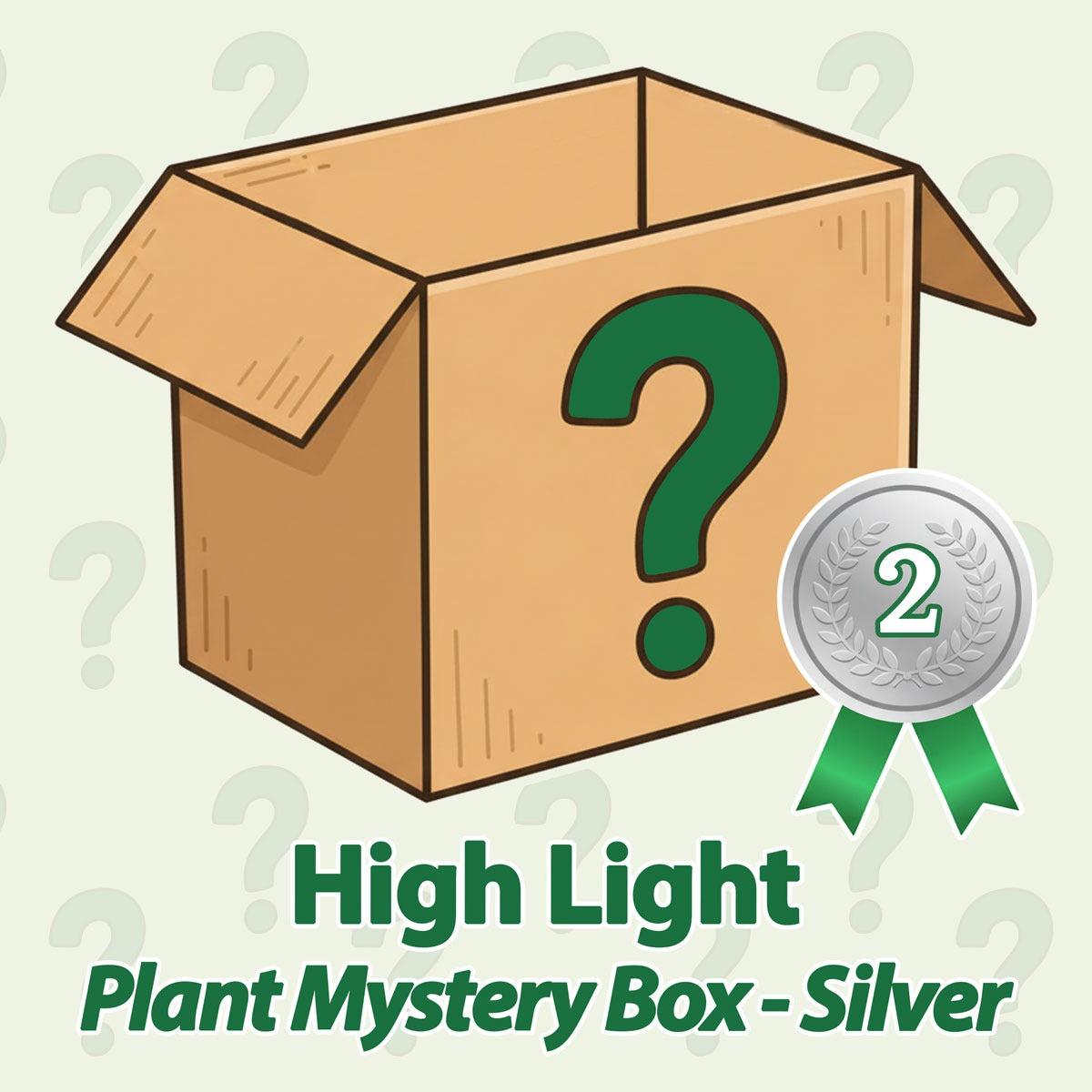 High Light Plant Mystery Box - Silver - May