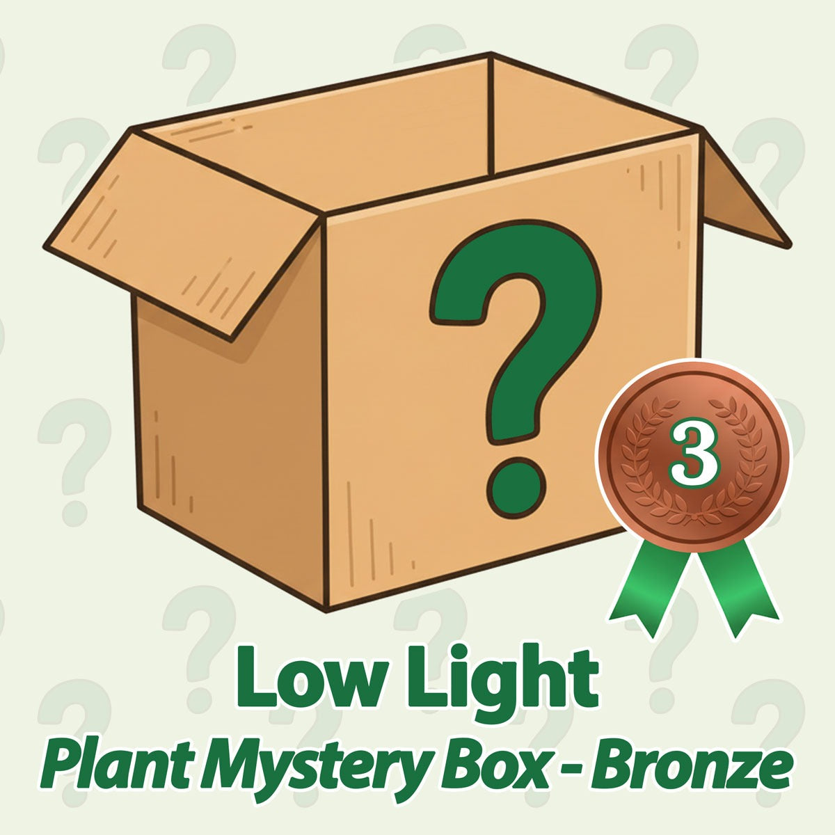 Low Light Plant Mystery Box - Bronze - May