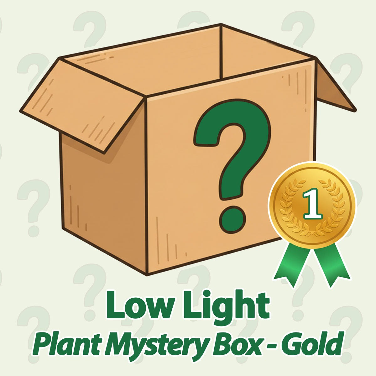 Low Light Plant Mystery Box - Gold - March