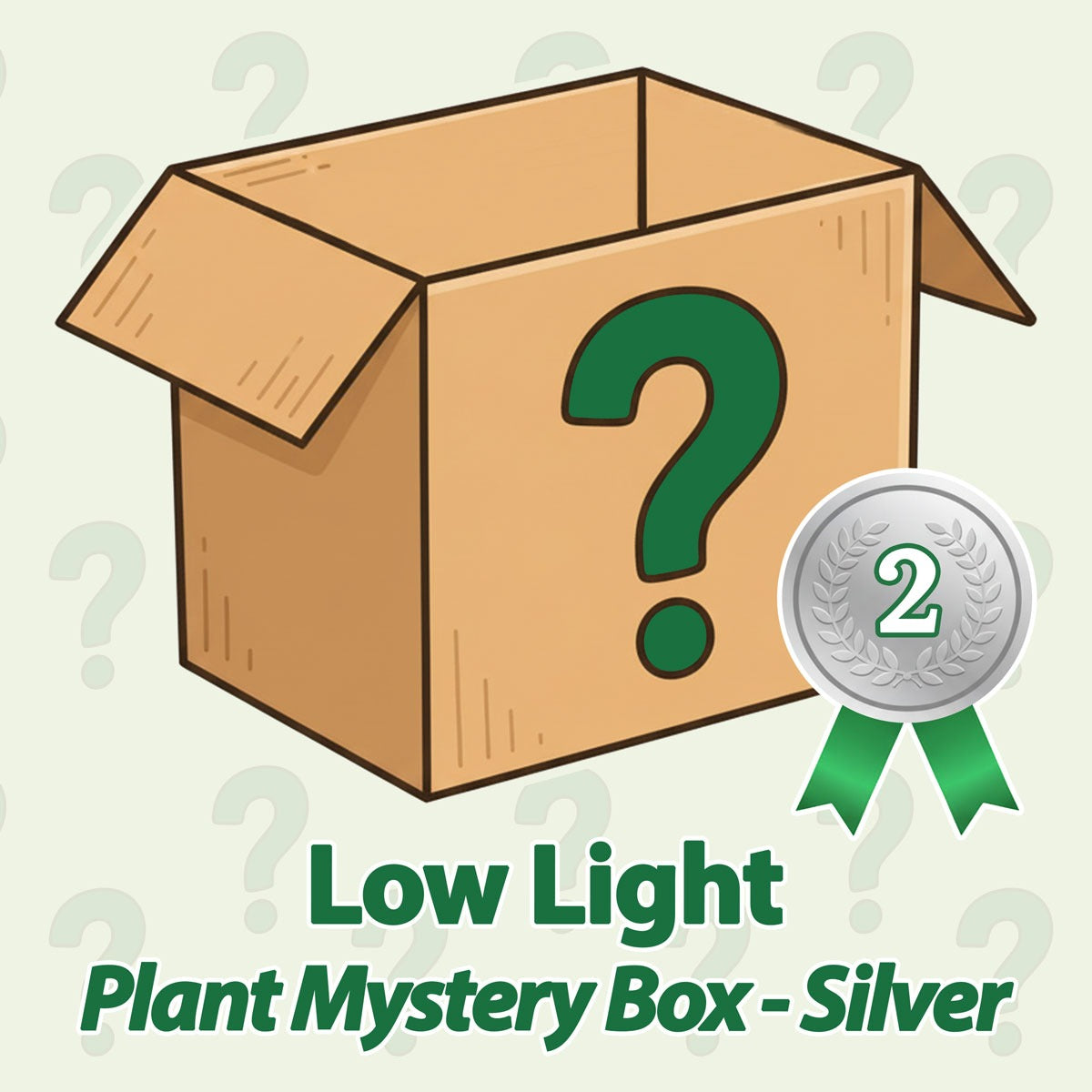 Low Light Plant Mystery Box - Silver - May
