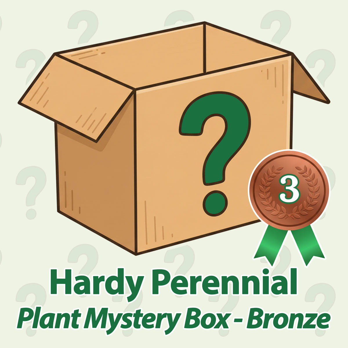 Hardy Perennial Plant Mystery Box - Bronze - May