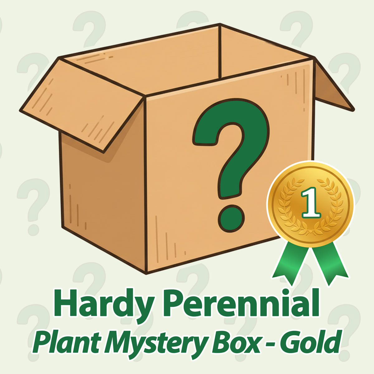 Hardy Perennial Plant Mystery Box - Gold - May