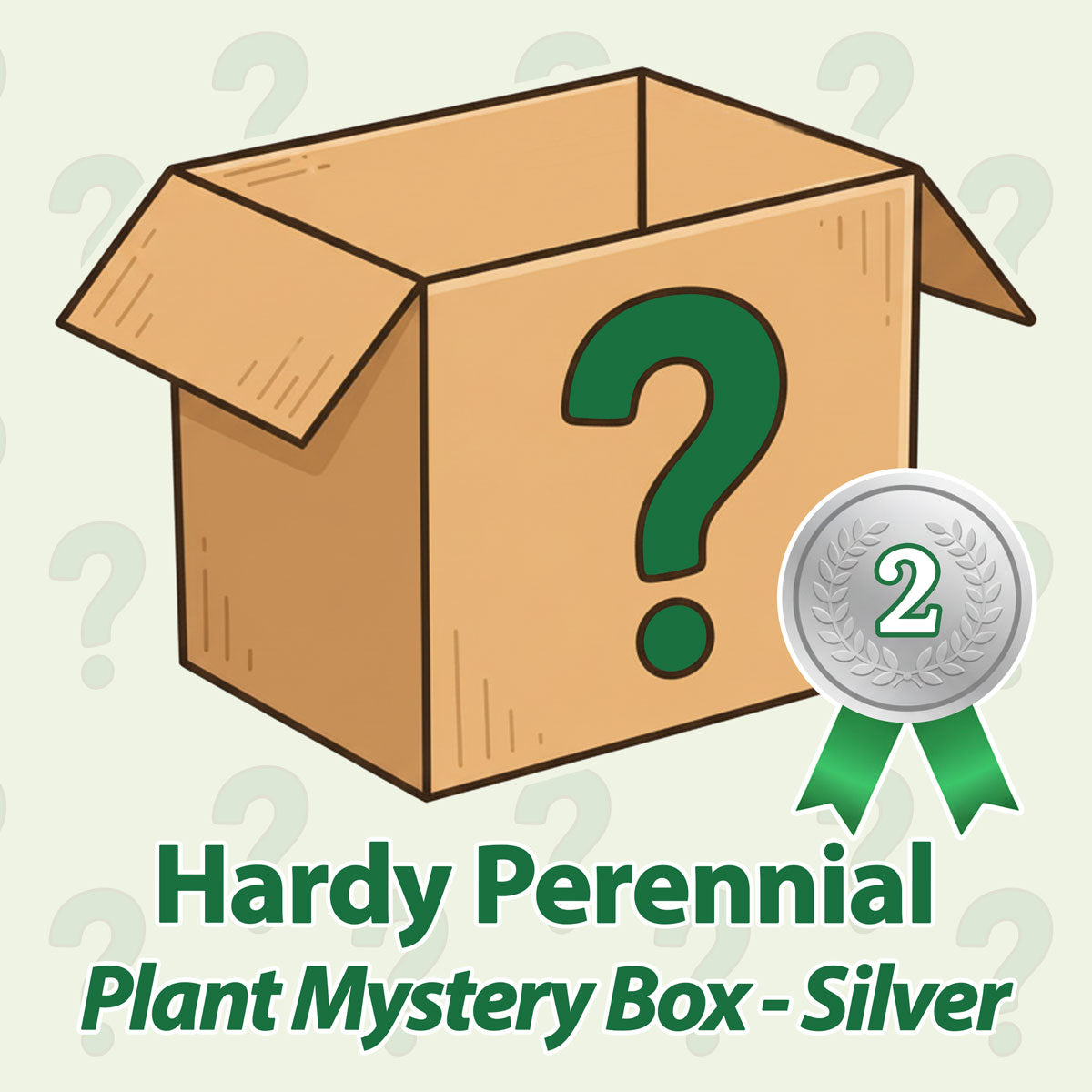 Hardy Perennial Plant Mystery Box - Silver - May