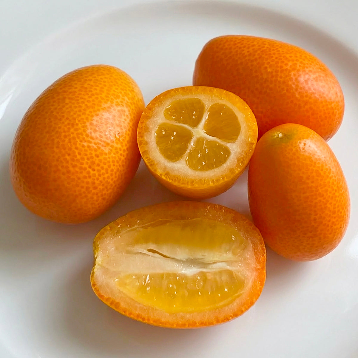 Nagami Kumquat fruit