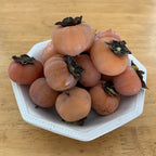 American Persimmon Tree Prairie Gem™ (Diospyros virginiana)