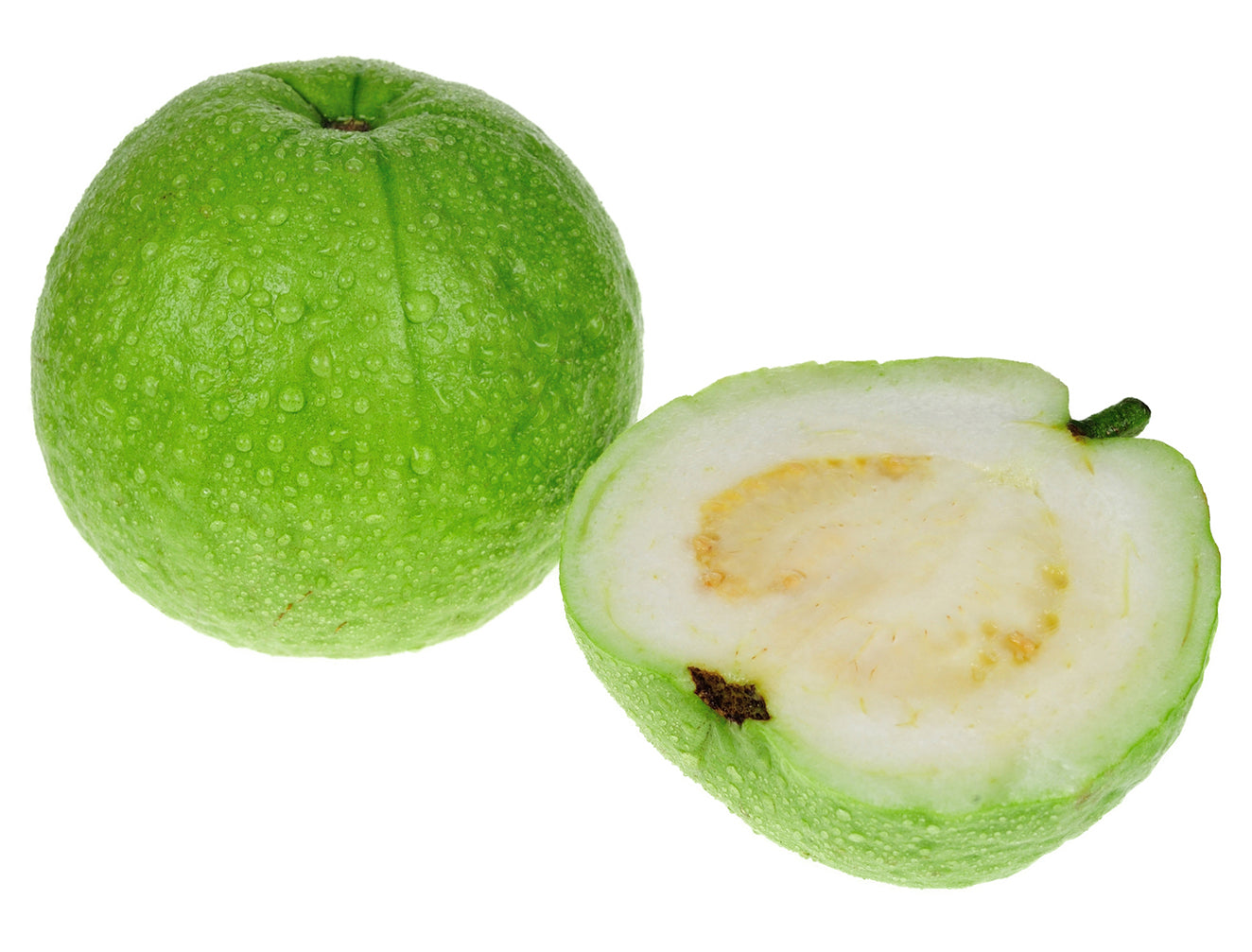 Guava ‘Mexican White’ (Psidium guajava)