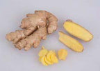 Edible Yellow Ginger Root Plant (Zingiber officinale)