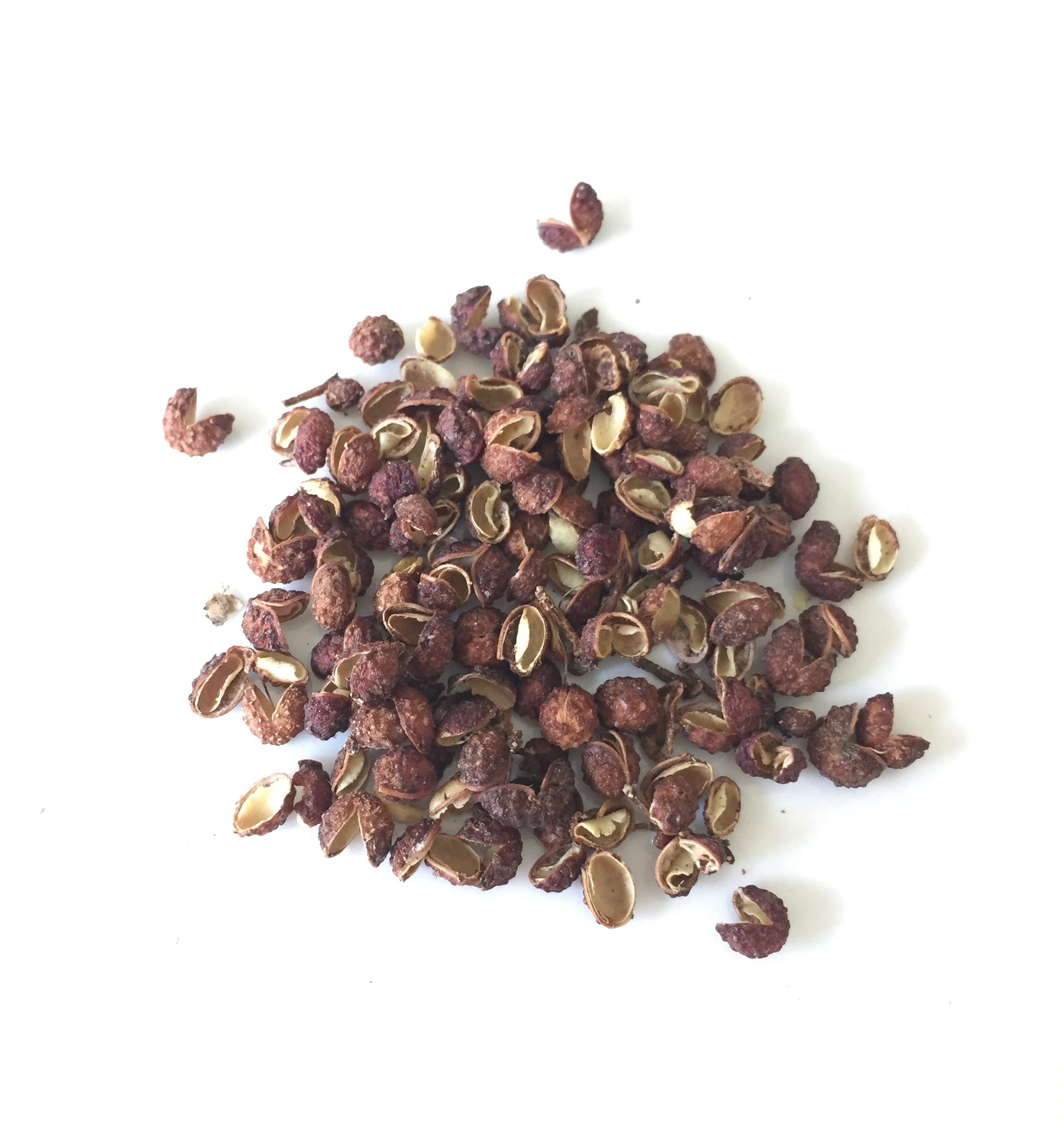 Szechuan Pepper Plant (Zanthoxylum simulans)