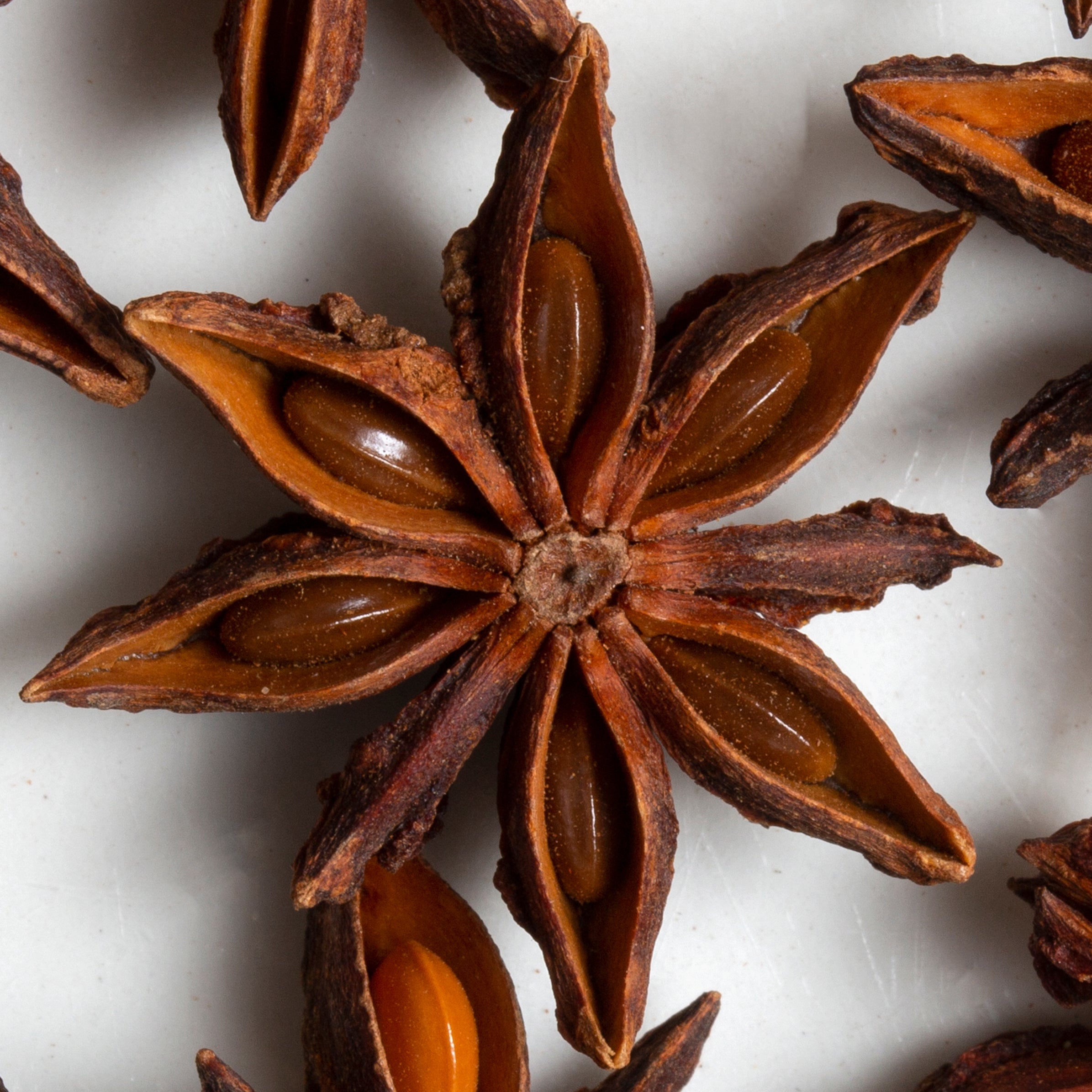 Star Anise (Illicium verum)