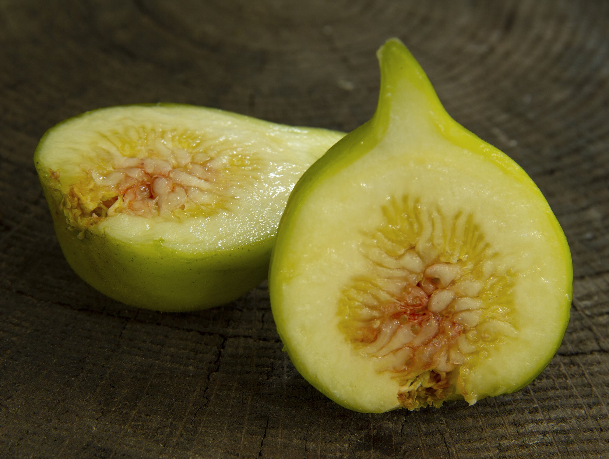 Fig Tree ‘Yellow Longneck’ (Ficus carica)