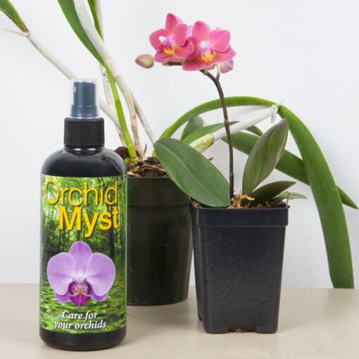 orchid mist