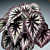 Begonia ‘Fireworks’ (Begonia rex hybrid)