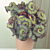 Begonia ‘Curly Fireflush’ (Begonia rex hybrid)
