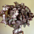 Begonia ‘Lalomie’ (Begonia rex hybrid) 