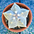 White Star Cactus (Astrophytum myriostigma)