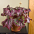 Begonia ‘Confetti’ (Begonia rex hybrid)