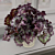 Begonia ‘Dusty Rose’ (Begonia rex hybrid)